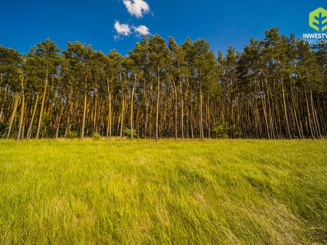 Działka 502 m² pod zabudowę w Łężycy, las, blisko Zielonej Góry