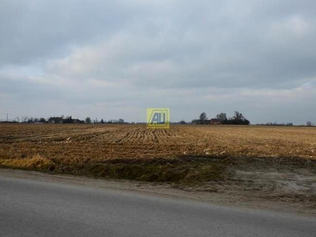 Działka 50 000 m², Ryki