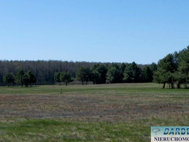 Działka 50 400 m², Pieńki