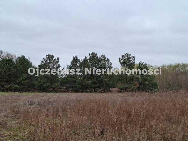 Działka 5200 m² z warunkami zabudowy, blisko zabudowa
