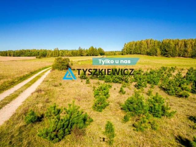 Działka 52 678 m², Skorzewo