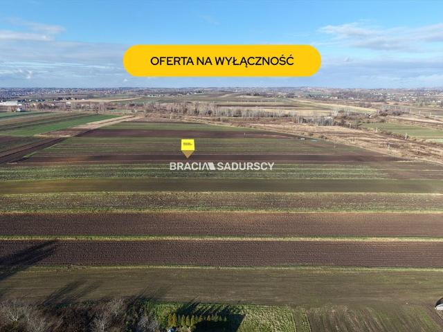 Działka 53 ar. pod zabudowę jednorodzinną i usługi