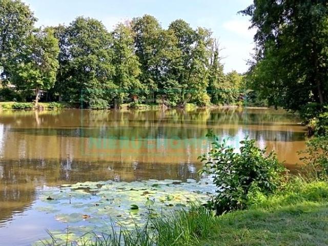 Działka 53 272 m², Grodzisk Mazowiecki