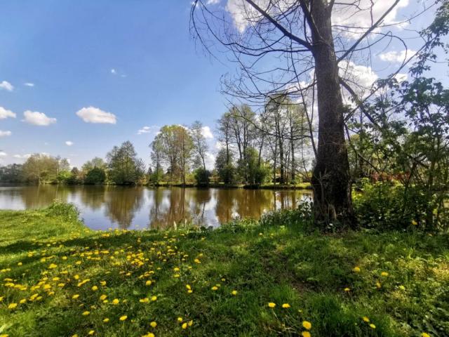 Działka 53 272 m², Grodzisk Mazowiecki