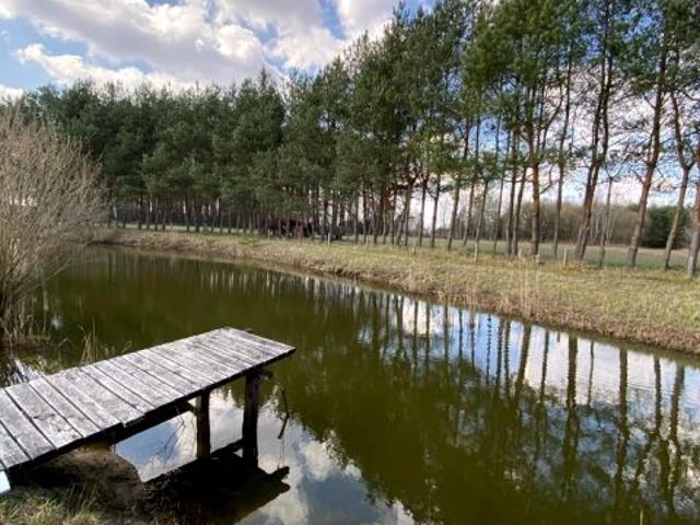 Działka 53 980 m², Pokój