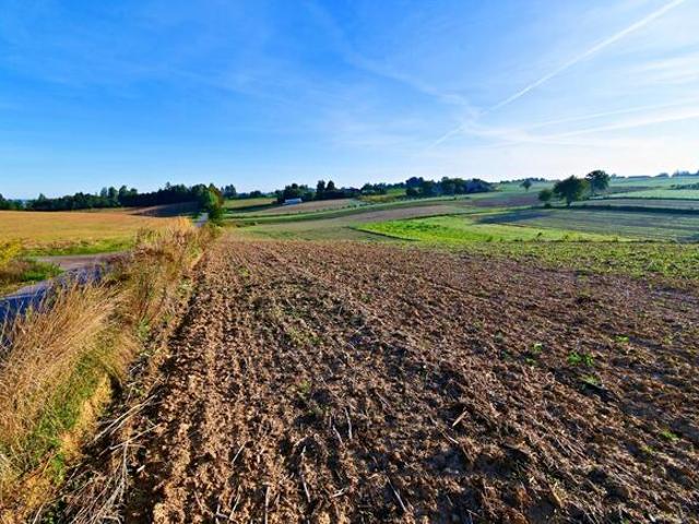 Działka 53ar w doskonałej cenie blisko Nałęczowa