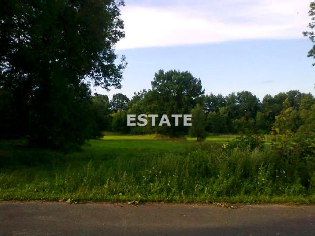Działka 5 006 m², Adamów