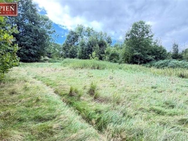 Działka 5 000 m², Chromiec