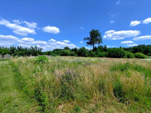Działka 5 000 m², Baciuty Kolonia
