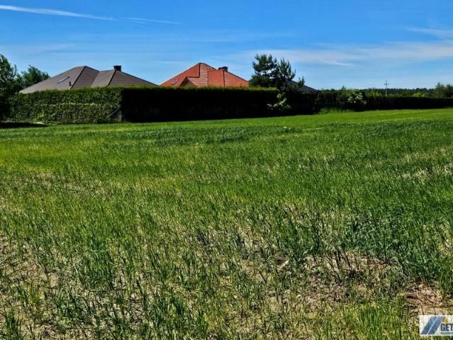 Działka 5 000 m², Nowy Adamów