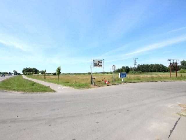 Działka 5 000 m², Pałecznica Kolonia