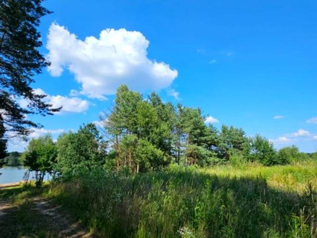 Działka 5 000 m², Przęsin