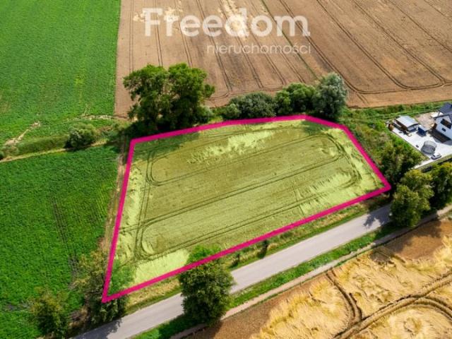 Działka 5 000 m², Pszczółki