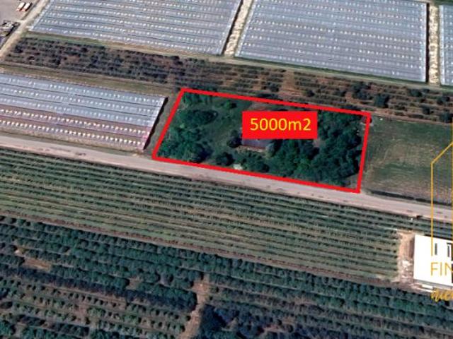 Działka 5 000 m², Rębowola