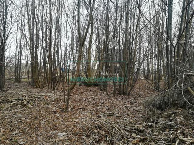 Działka 5 002 m², Grodzisk Mazowiecki
