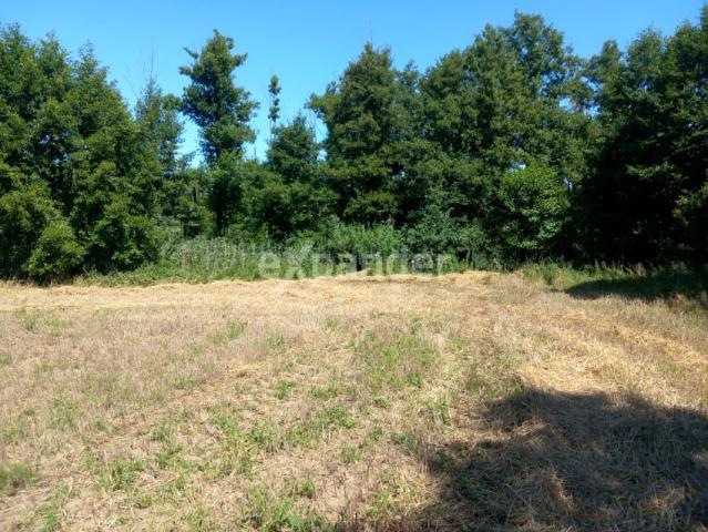 Działka 5 022 m², Likiec