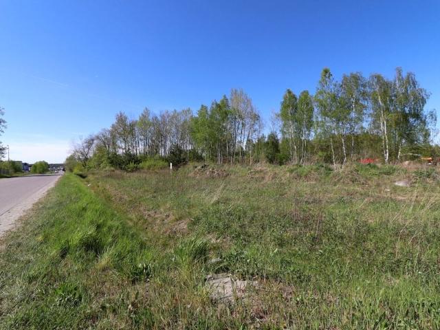 Działka 5 032 m², Tajęcina