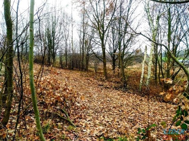 Działka 5 074 m², Mikołów