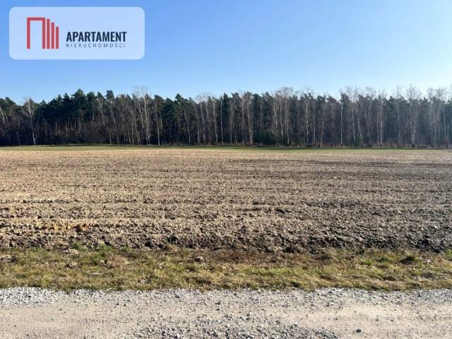 Działka 5 115 m², Ojrzanowo