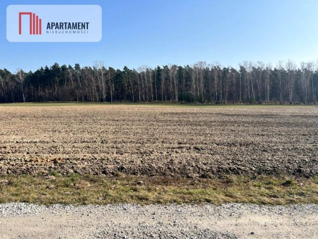 Działka 5 181 m², Ojrzanowo