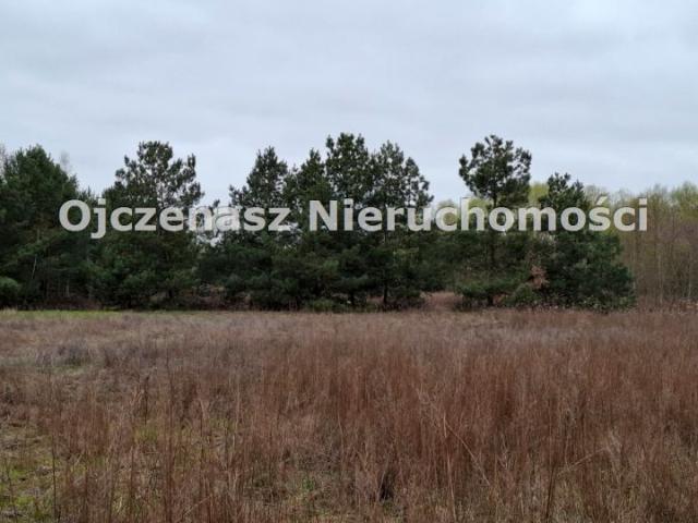 Działka 5 200 m², Błądzim