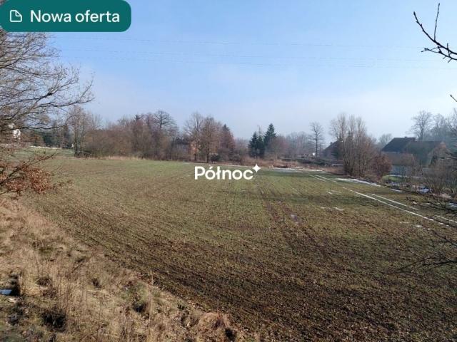 Działka 5 200 m², Ocice