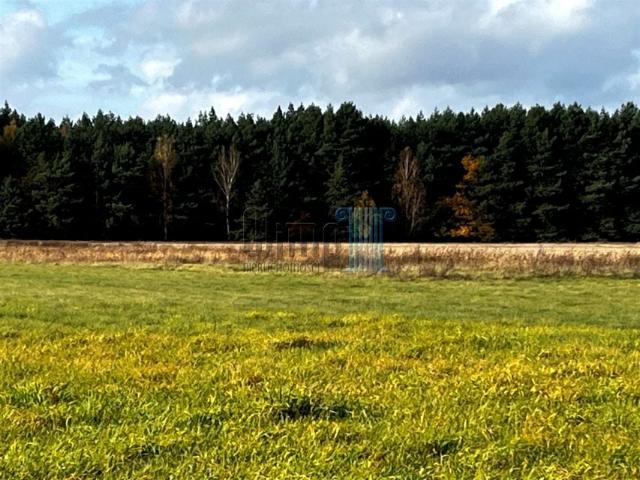 Działka 5 200 m², Nowe Dąbie