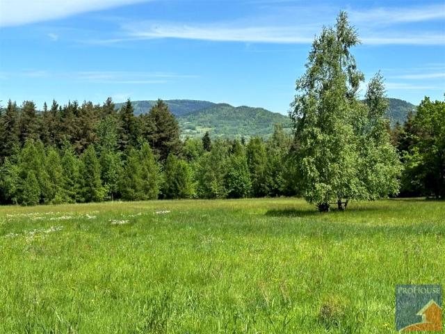 Działka 5 200 m², Podłopień
