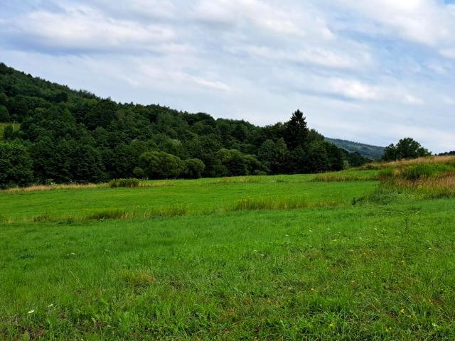 Działka 5 200 m², Pietrusza Wola