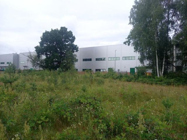 Działka 5 200 m², Wólka Kosowska