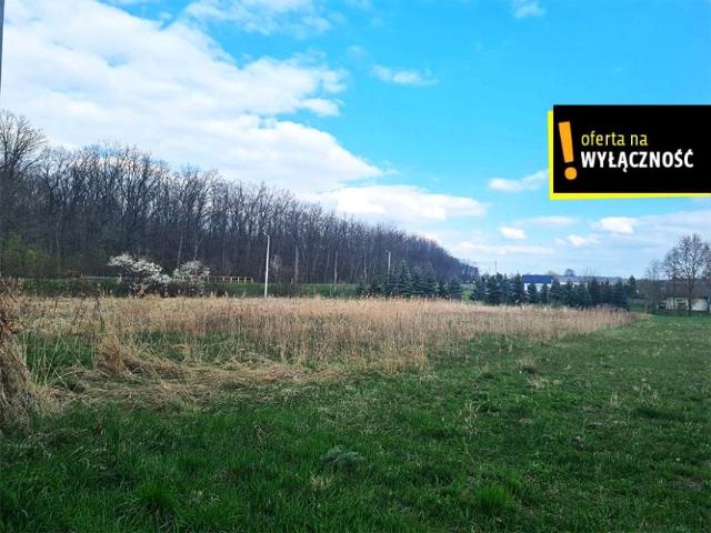 Działka 5 200 m², Łubnice