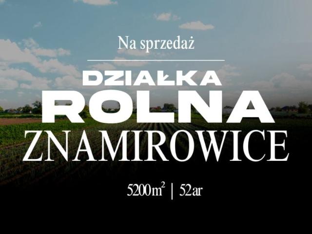 Działka 5 200 m², Znamirowice
