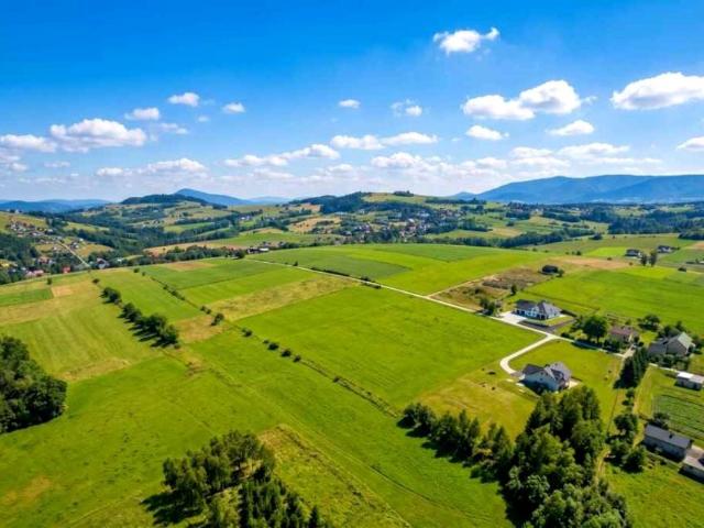 Działka 5 232 m², Krużlowa Wyżna
