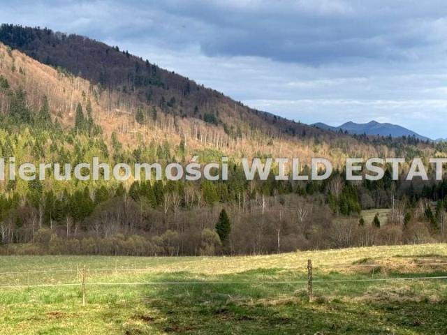 Działka 5 242 m², Krzywe