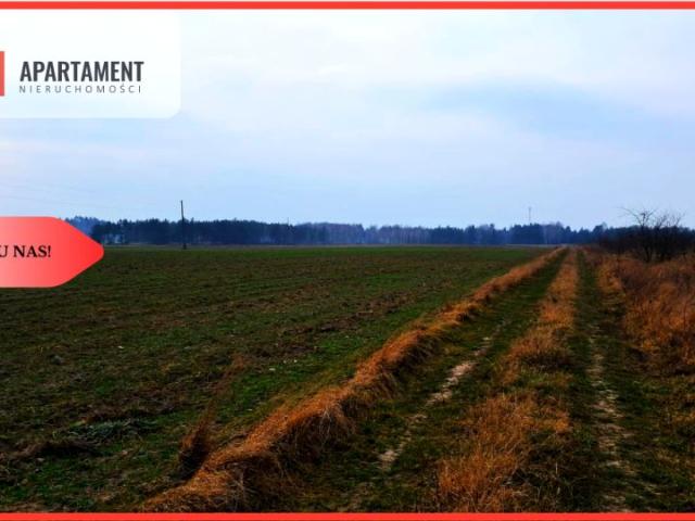 Działka 5 290 m², Józefkowo