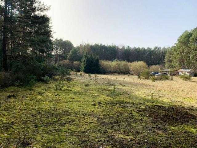 Działka 5 300 m², Drzewce