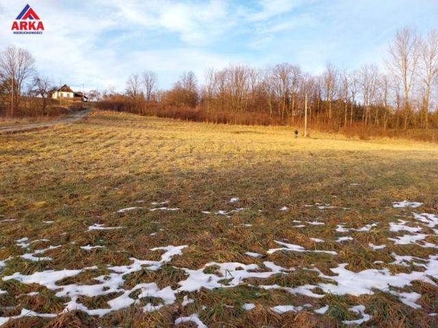 Działka 5 300 m², Wilkowisko