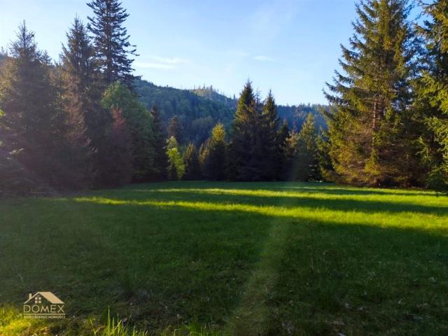 Działka 5 374 m², Soblówka