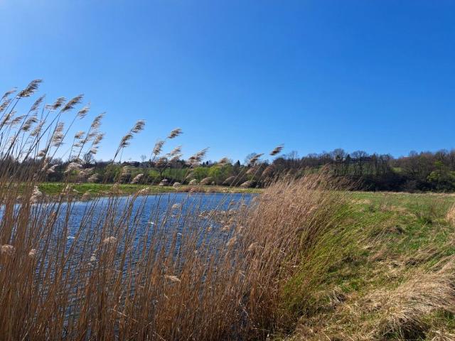 Działka 5 408 m², Dębowiec
