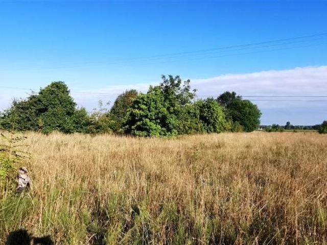 Działka 5 400 m², Czarna
