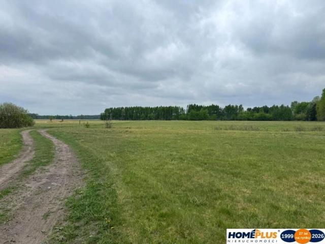 Działka 5 400 m², Łąki