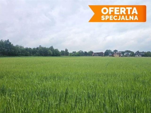 Działka 5 400 m², Jeziorzany