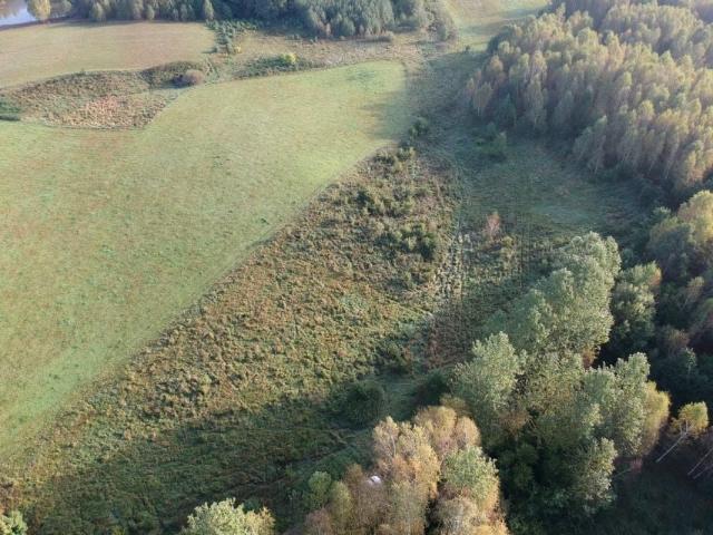 Działka 5 509 m², Sokolnik