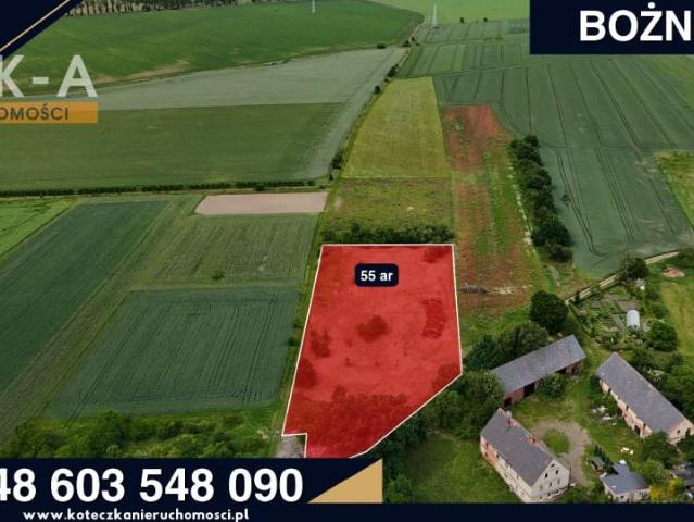 Działka 5 500 m², Bożnów