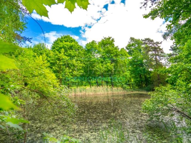 Działka 5 500 m², Grodzisk Mazowiecki