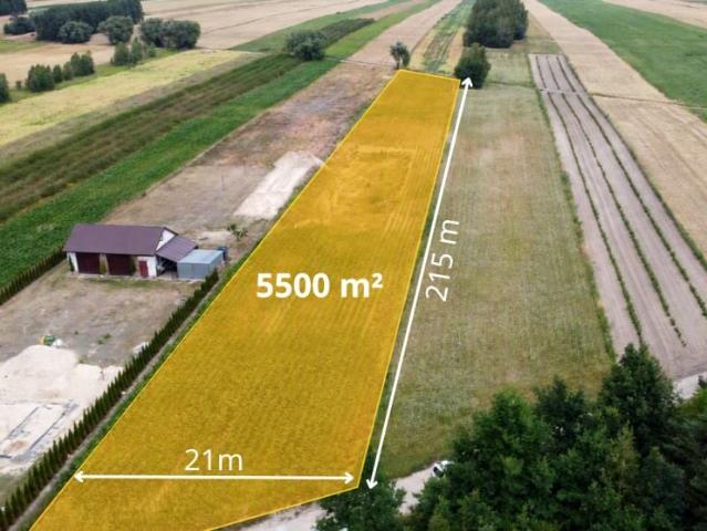 Działka 5 500 m², Księżomierz