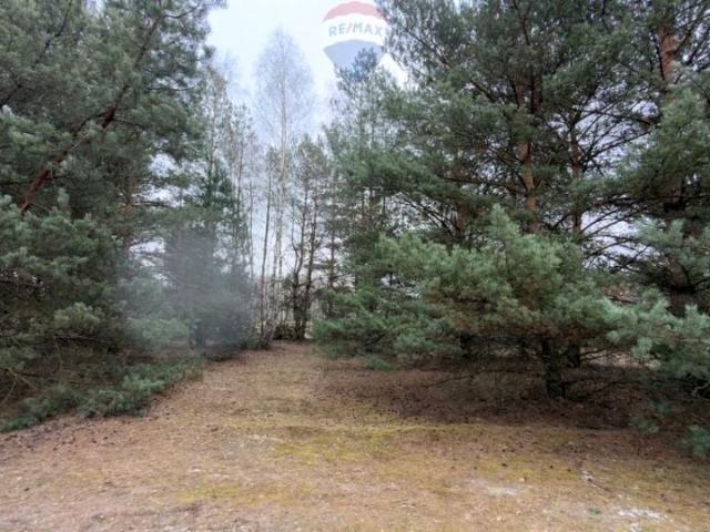 Działka 5 500 m², Michałów