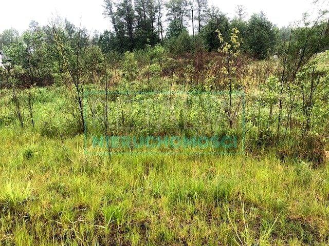 Działka 5 500 m², Skuły