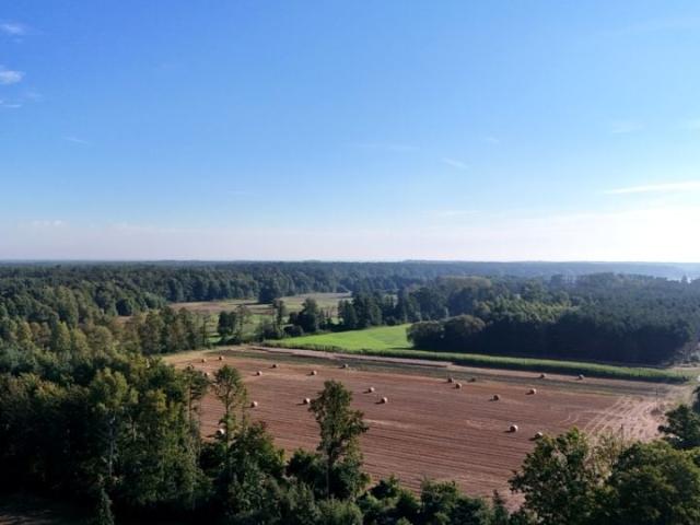 Działka 5 521 m², Koźminek