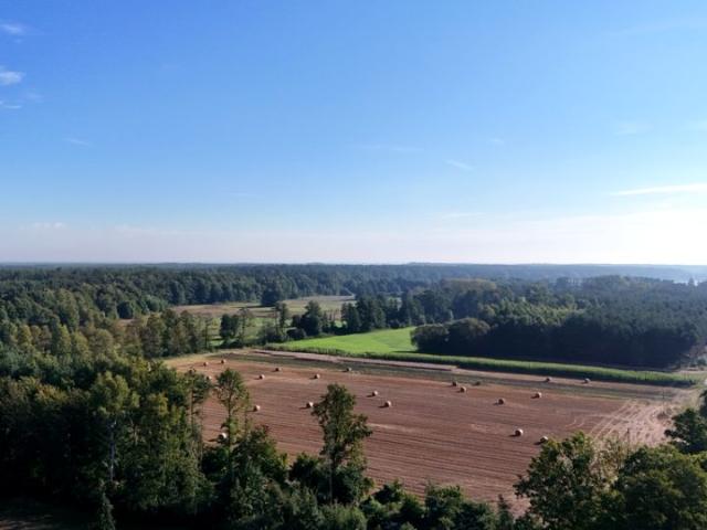Działka 5 521 m², Józefina